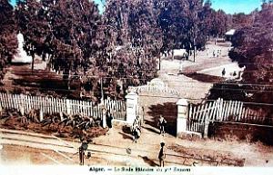 Alger - 9e Zouaves - Stade